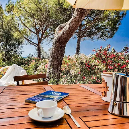 Διαμέρισμα Trilocale La Pineta Quiet Garden